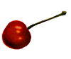 [A Cherry!]